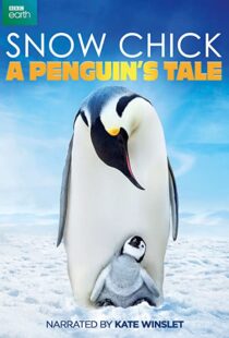 دانلود مستند Snow Chick: A Penguin’s Tale 2015109604-1818572059