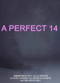دانلود مستند A Perfect 14 2018101127-2139910898