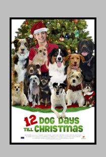 دانلود فیلم ۱۲ Dog Days Till Christmas 2014100712-1070730408