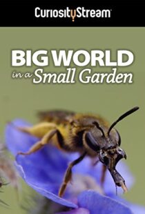 دانلود مستند Big World in a Small Garden 2016102965-695117997