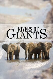 دانلود مستند Rivers of Giants 2005102245-2006956328