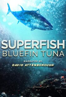 دانلود مستند Superfish Bluefin Tuna 2012101607-540020425