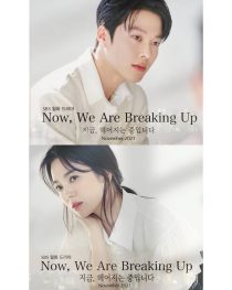 دانلود سریال کره ای Now, We Are Breaking Up113004-262070209