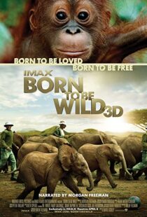 دانلود مستند Born to Be Wild 2011110503-1116040722