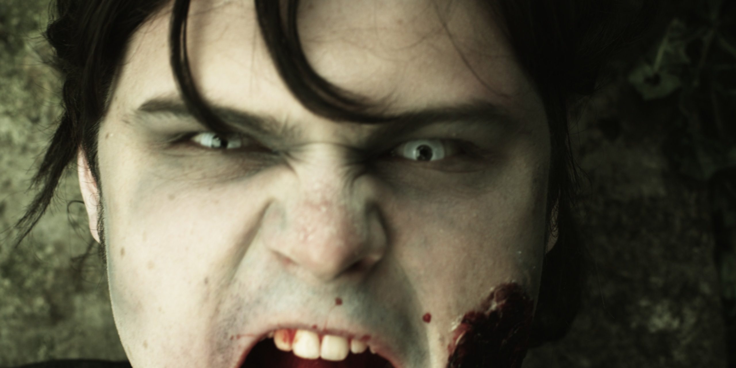 دانلود فیلم Portrait of a Zombie 2012