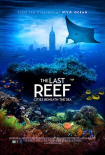دانلود مستند The Last Reef 2012113204-1035680798