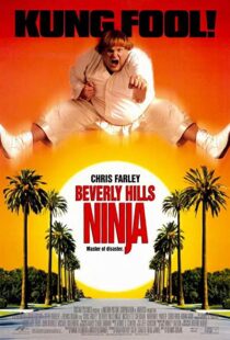 دانلود فیلم Beverly Hills Ninja 1997111541-1820866540