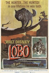 دانلود فیلم The Legend of Lobo 1962111441-569687051