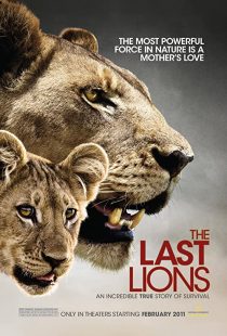 دانلود مستند The Last Lions 2011 آخرین شیرها195626-160491442