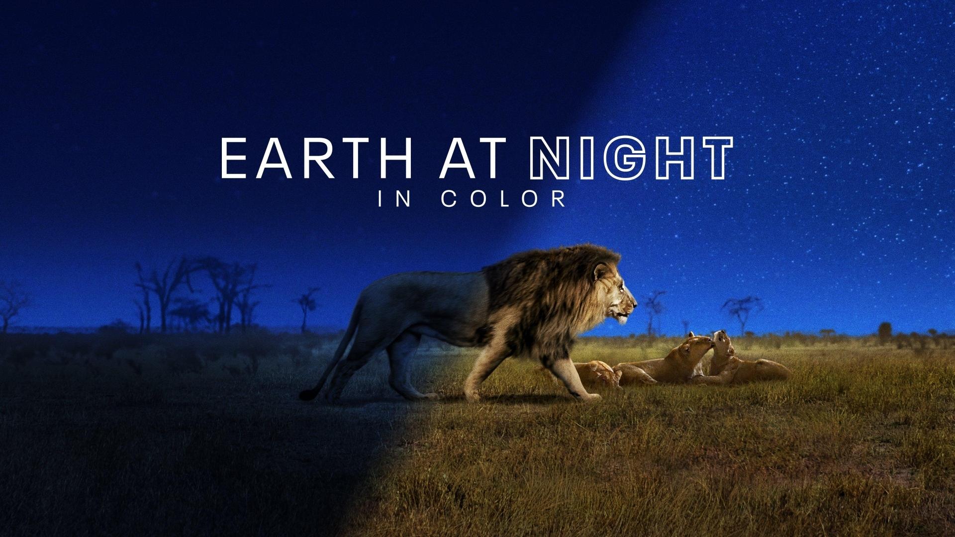 دانلود مستند Earth at Night in Color