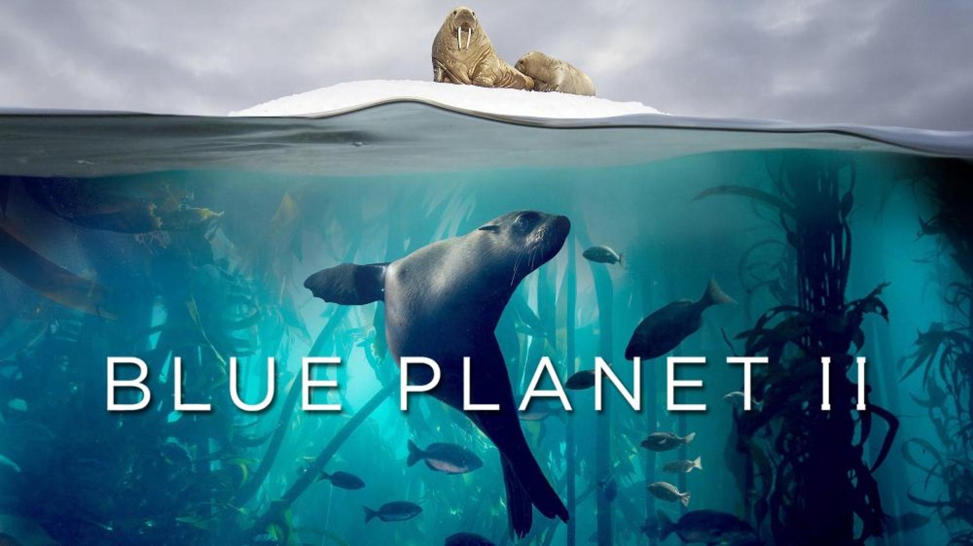 دانلود مستند Blue Planet II