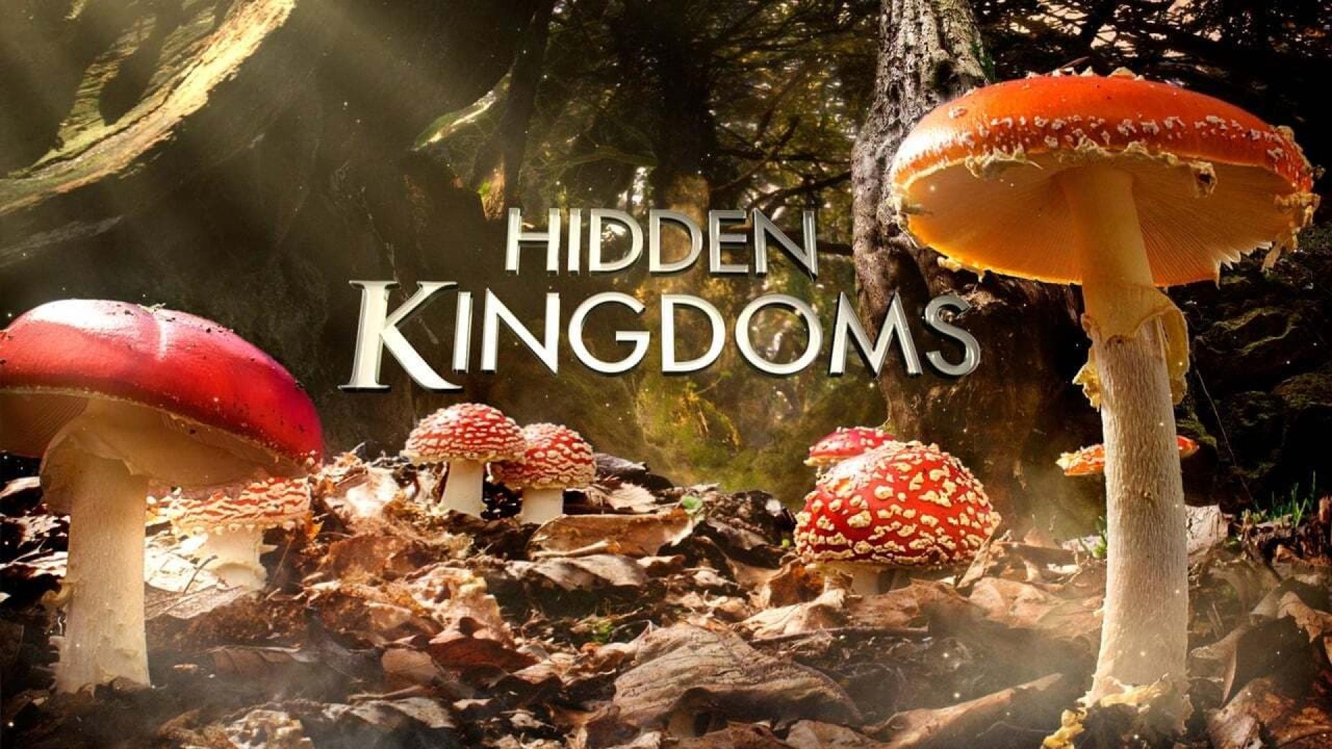 دانلود مستند Hidden Kingdoms