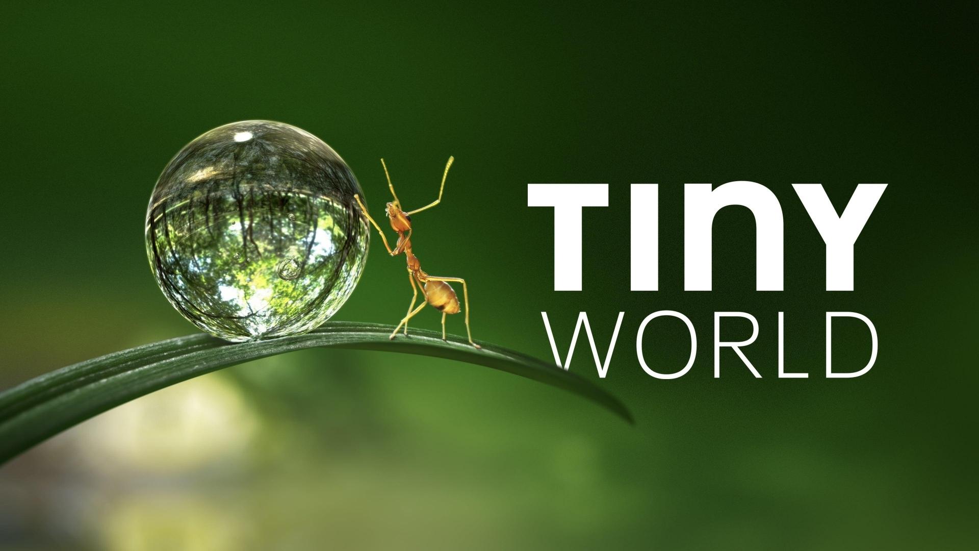 دانلود مستند Tiny World