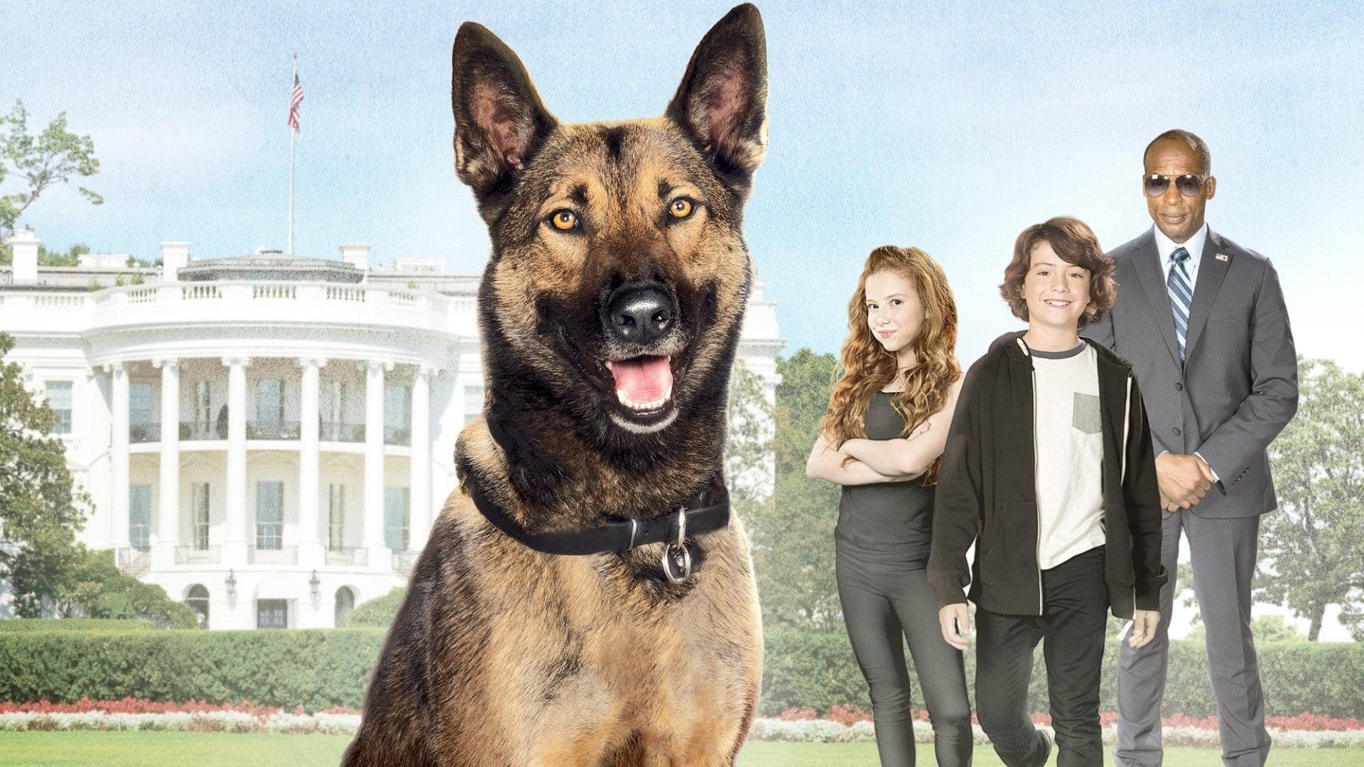 دانلود فیلم Max 2: White House Hero 2017