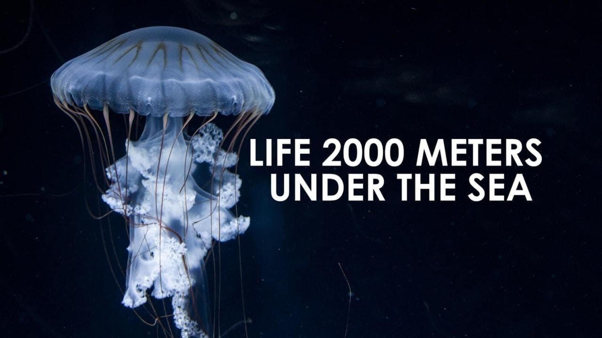 دانلود مستند Life 2,000 Meters Under the Sea 2014