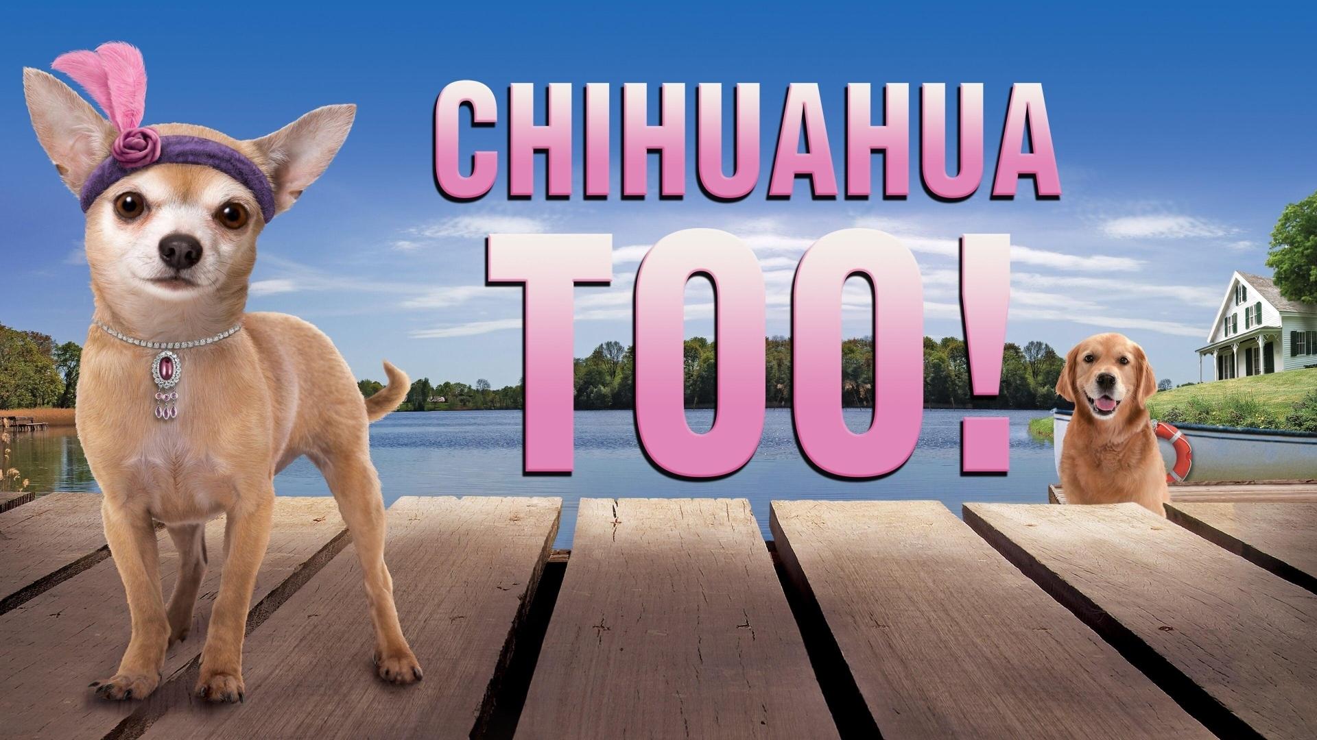 دانلود فیلم Chihuahua Too! 2013