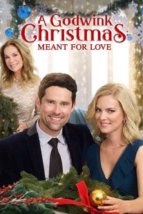 دانلود فیلم A Godwink Christmas: Meant for Love 201931842-628505834