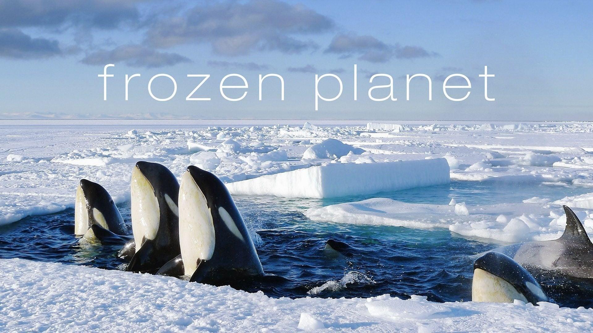 دانلود مستند Frozen Planet