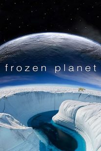 دانلود سریال Frozen Planet سیاره یخ زده229350-17330613