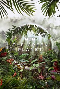 دانلود سریال The Green Planet سیاره سبز232029-91440122
