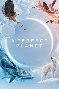 دانلود سریال A Perfect Planet یک سیاره کامل231098-1524551146