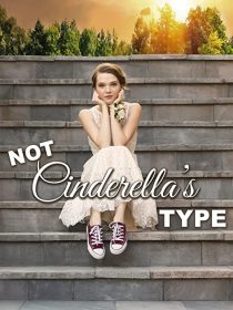 دانلود فیلم Not Cinderella’s Type 2018254350-392616898