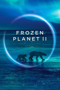 دانلود مستند Frozen Planet II268784-377515619