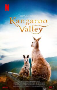دانلود فیلم Kangaroo Valley 2022322977-506834157