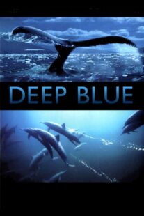 دانلود فیلم Deep Blue 2003333037-2040846734