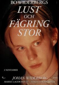 دانلود فیلم Lust och fägring stor 1995353136-4385997
