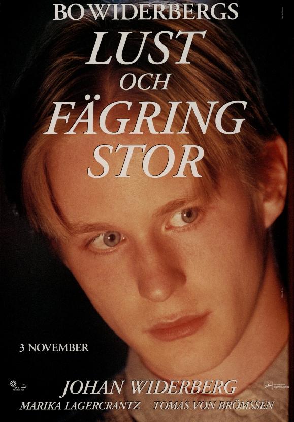 دانلود فیلم Lust och fägring stor 1995