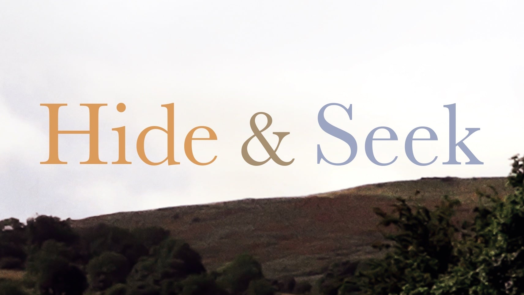 دانلود فیلم Hide and Seek 2014
