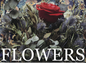 دانلود فیلم Flowers 2014