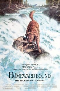 دانلود فیلم Homeward Bound: The Incredible Journey 1993371118-2078572378