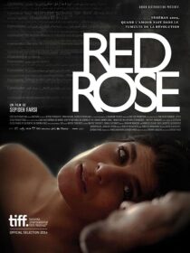 دانلود فیلم Red Rose 2014373098-662217071