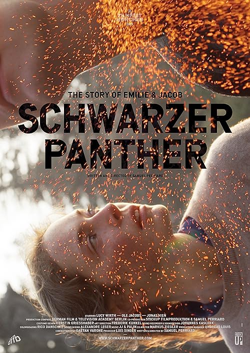 دانلود فیلم Schwarzer Panther 2014