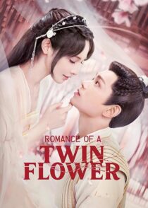دانلود سریال Romance of a Twin Flower379211-2016873717