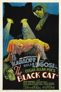 دانلود فیلم The Black Cat 1934378235-1595290191