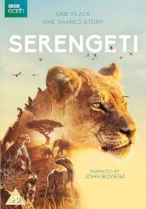 دانلود سریال Serengeti378761-1706129898