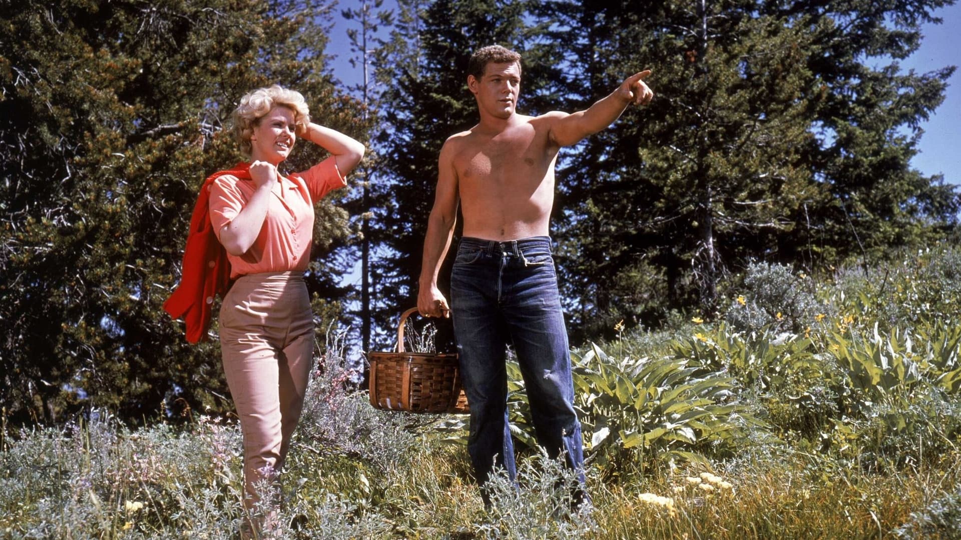 دانلود فیلم Spencer’s Mountain 1963