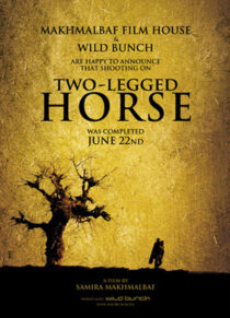 دانلود فیلم Two-Legged Horse 2008386427-54666481