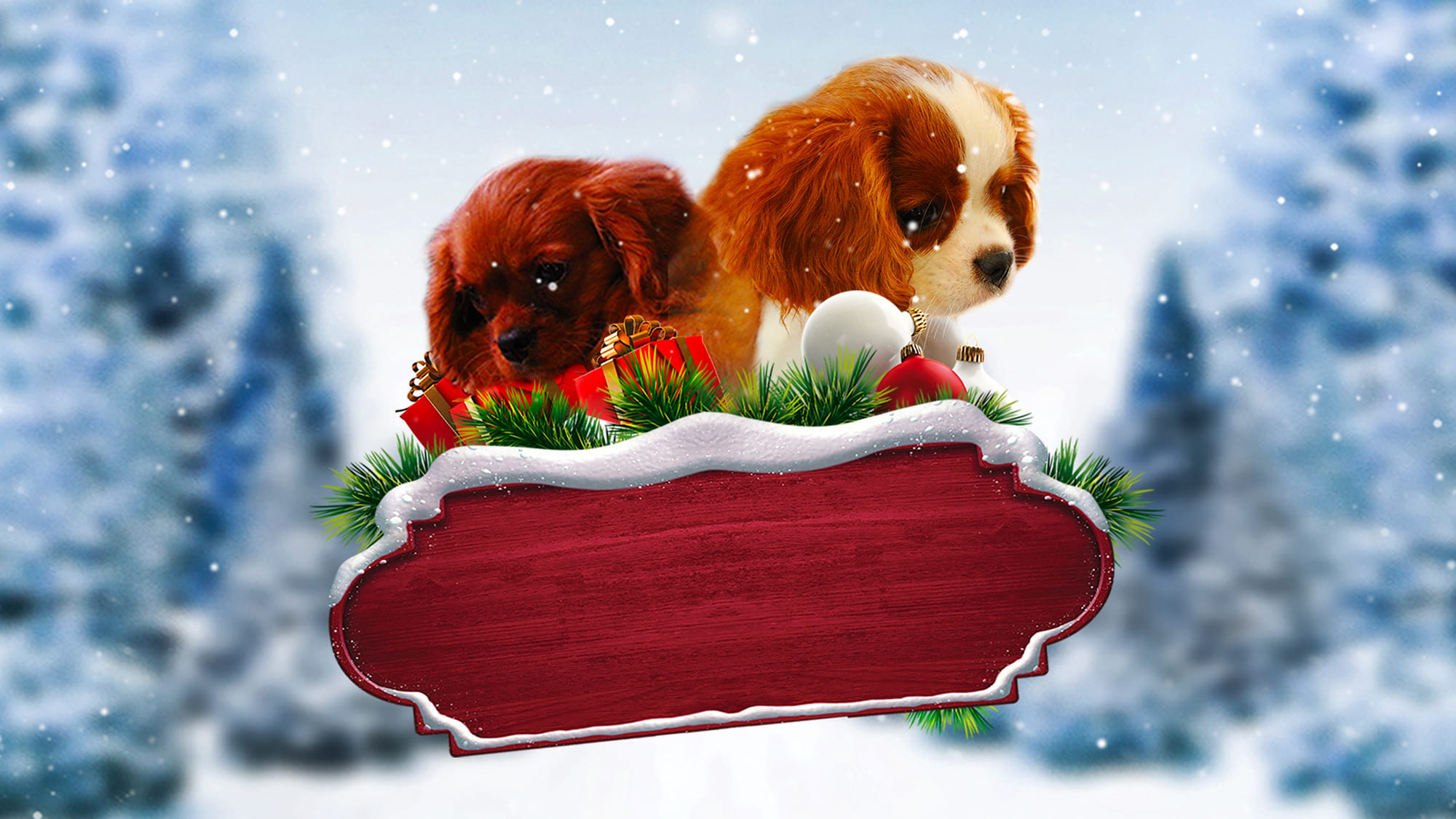 دانلود فیلم Project: Puppies for Christmas 2019