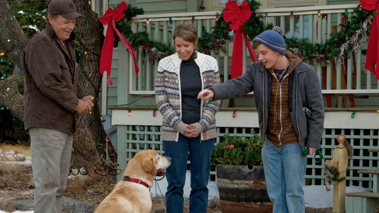 دانلود فیلم A Dog Named Christmas 2009