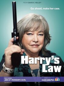 دانلود سریال Harry’s Law393952-1031517987
