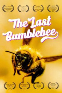 دانلود مستند The Last Bumblebee 2024399140-171747328