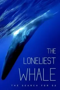 دانلود فیلم The Loneliest Whale: The Search for 52 2021403098-1708819818