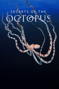 دانلود سریال Secrets of the Octopus401286-2005077059