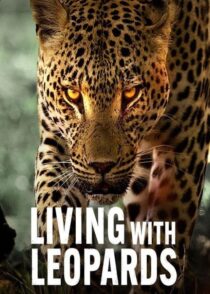 دانلود مستند Living with Leopards 2024400477-107096609