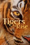 دانلود مستند Tigers on the Rise 2024