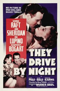 دانلود فیلم They Drive by Night 1940411221-329774102